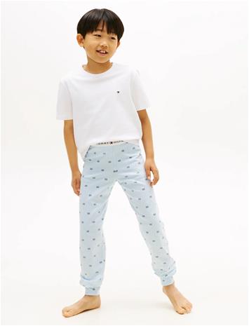 Tommy Hilfiger 2 Pk Ss Tee - Multi/patterned - 140-152
