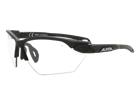 Aurinkolasit Alpina Overview Black Transparent