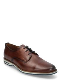 Lloyd Dakin - Brown - 42.5