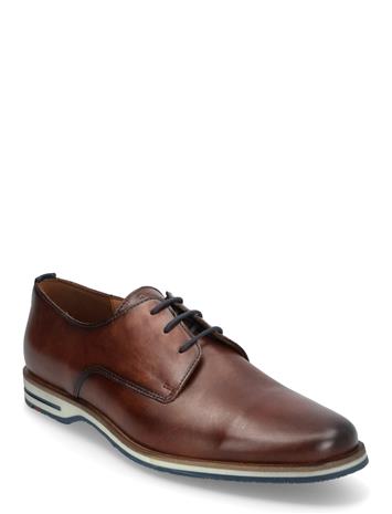 Lloyd Dakin - Brown - 42.5