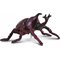 Collecta Rhinoceros Beetle -hahmo – kuva 1