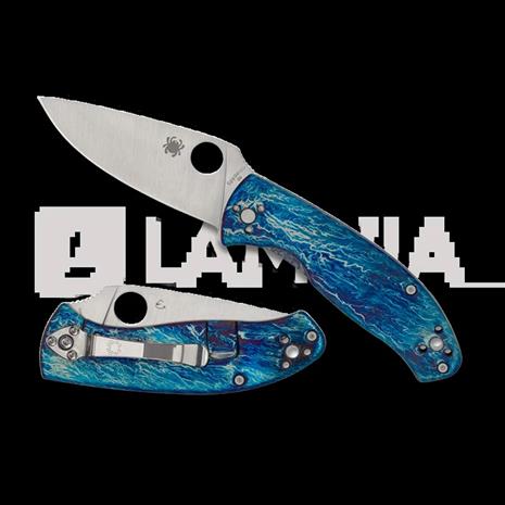 Spyderco Tenacious Blue Titanium Disarray D2 kääntöveitsi