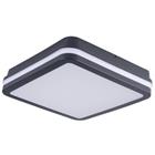 LED Plafond BENO 24-30W CCT-L GR harmaa