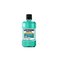 Suuhuuhde Listerine Mentol, 250 ml – kuva 1