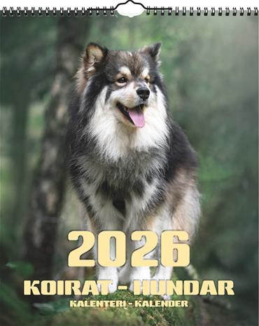 Iso seinäkalenteri koirat