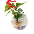 Monipuolinen 15cm muoviruukku - sisä- ja ulkokoristeluun., Veidrodis