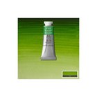 PROF WATER COLOUR 14ML Permanent Sap Green 503