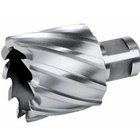 Reikäsaha Exact 33015; HSS; 15x30 mm