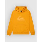 Quiksilver Comp Logo Kids Huppari mineral yellow Jätkät