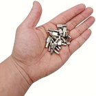 20/50 kpl hyllynaulat, 5mm lusikkamainen nikkelipinnoitettu hyllytuki naulat, 50 vnt