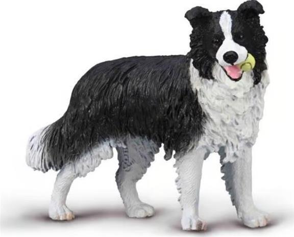 Collecta figur border collie 80012 00127