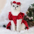 Joulun Lemmikkipuku, Prinsessa Tyyli Kissan Hame, Villainen Paksu Syksy Ja Talvi Vaatteet., S