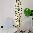 LED Sydänköynnös Valosarja