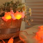 Yksi siivekäs rakkausvalosarja, 118.11in20LED