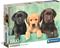 Clementoni Three Labradors (1000) – kuva 4