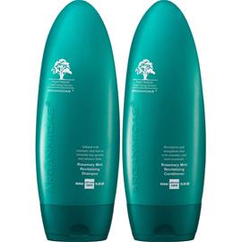 Arganmidas Rosemary Mint Revitalizing Bundle Shampoo 450 ml & Conditioner 450 ml