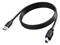 Vision - USB cable - USB Type A to USB Type B - 2 m – kuva 1
