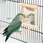 Puiset Lintutikkaat Peili, Papukaijatarvikkeet, Hyppyalusta.