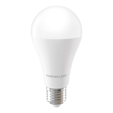 LED-lamppu E27 A65 17W 2100lm 6000K 6000K