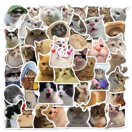 Hauska kissa tarroja 50-pack