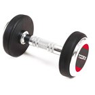 Kumikäsipaino Toorx MGP-22 Professional 22 kg