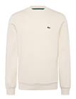Lacoste 1Hs1 Men's Sweatshirt - Cream - XXL