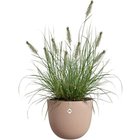 Blomkruka - ELHO - Sereh Round 40 - Brun - Ø 39 x H 33 cm - 100% återvunnen