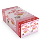 Royal Canin Feline Kitten Gravy Multipack x 48