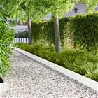 vidaXL Nurmireunus 20 pcs 103 x 20 cm metalli valkoinen