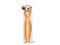 thumb94781288