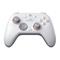 GameSir Nova 2 Lite, PC/Nintendo Switch -peliohjain – kuva 7