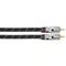 AVINITY 2m 2xRCA audio cable – kuva 3