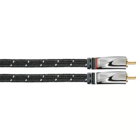AVINITY 2m 2xRCA audio cable