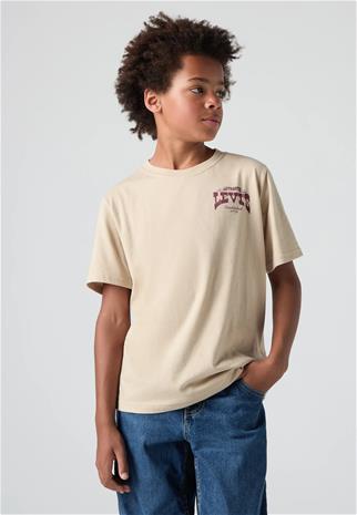 Levi's LVB Gallopping Free T-paita, White Pepper, 176