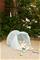 Liewood - Tent (LW18556_2666) – kuva 8