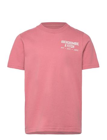 Abercrombie Kids Te-S/S Tee - Pink - 155/159
