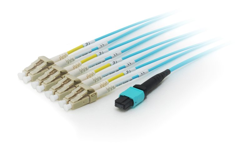 Equip MTP/MTP Trunk Fiber Optic Patch Cable, OM4, 15m