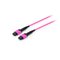 Equip 25555317 InfiniBand/fibre optic cable 3 m MTP Violet – kuva 1