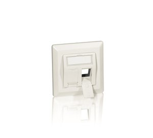 Equip 2-Port German Faceplate