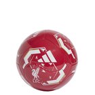 adidas Performance Lfc Clb Home - Red - 5