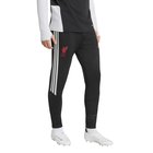 adidas Performance Lfc Tr Pnt - Black - XXL