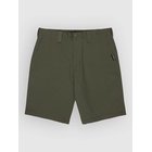 Quiksilver Union Regular 20 Shortsit grape leaf Miehet