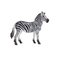 Mojo - Wildlife Zebra – kuva 1
