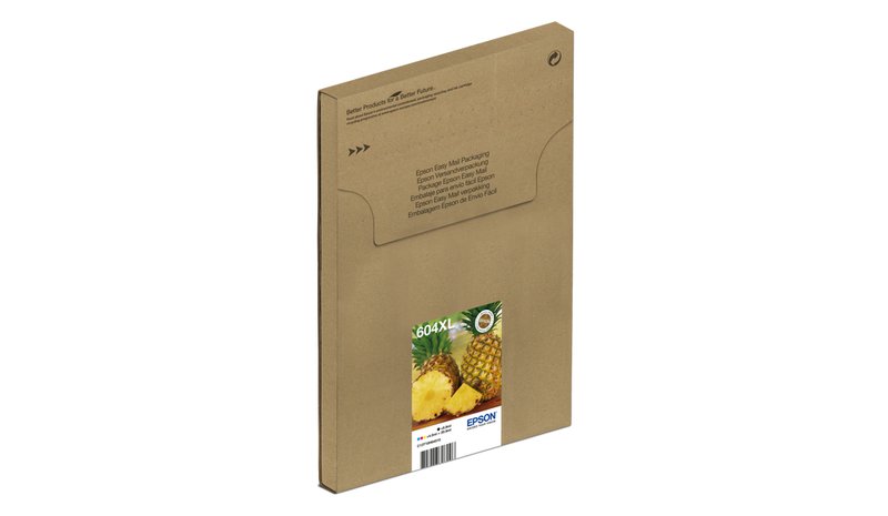 Epson Multipack 4-colours 604XL EasyMail