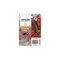 Epson Singlepack Yellow 503 Ink – kuva 1