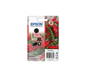 Epson Singlepack Black 503XL Ink