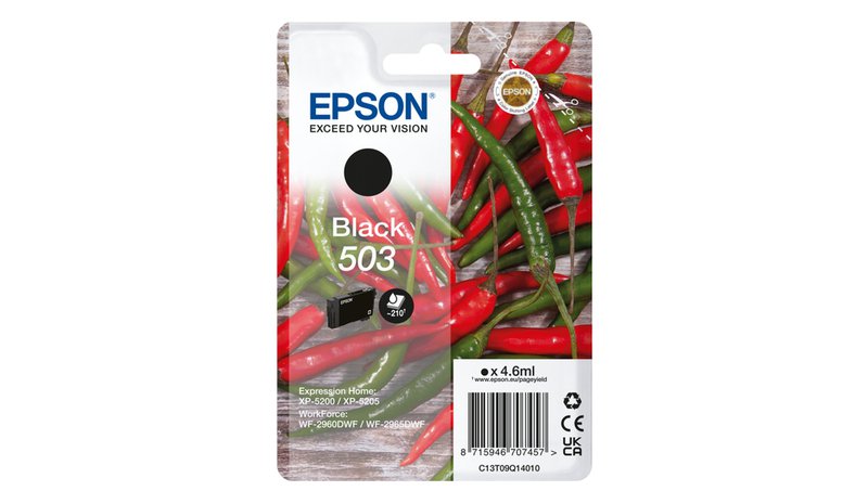 Epson Singlepack Black 503 Ink