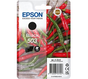 Epson Singlepack Black 503 Ink