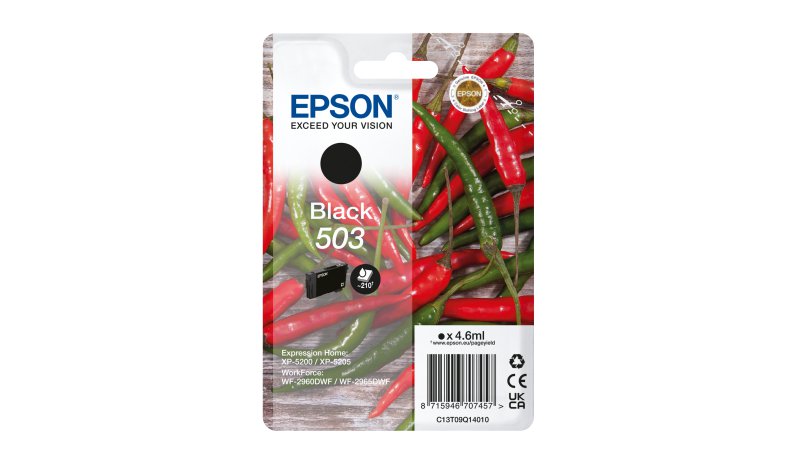 Epson Singlepack Black 503 Ink