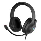 GENESIS NEON 213